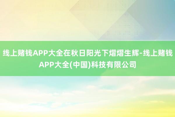线上赌钱APP大全在秋日阳光下熠熠生辉-线上赌钱APP大全(中国)科技有限公司